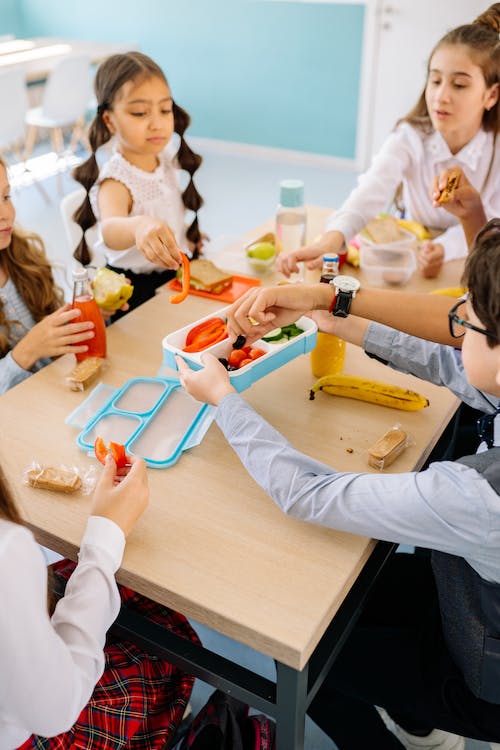 kids eating their lunch