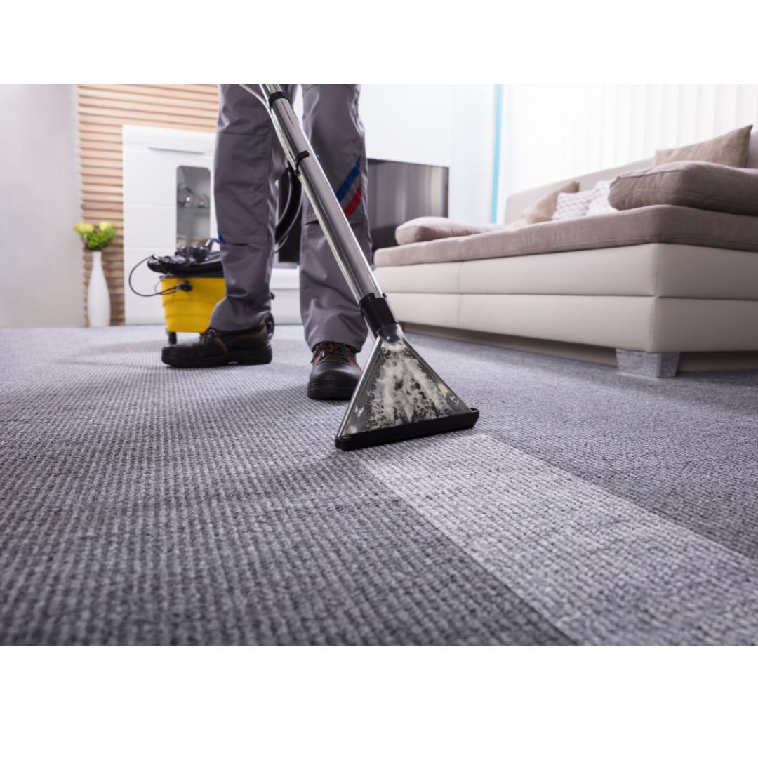 person cleaning the carpet with vacuum