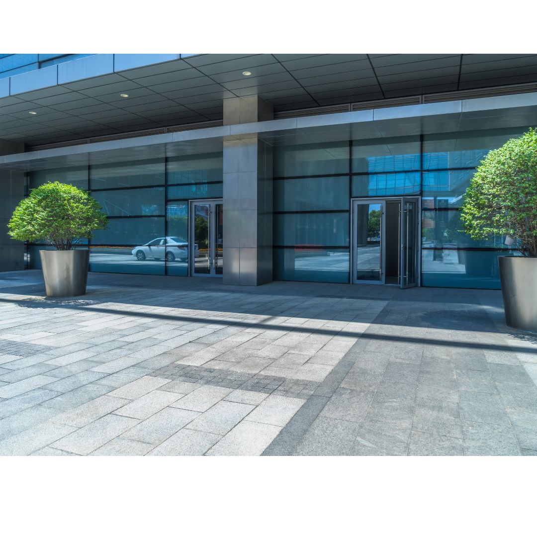 Establishment with big plant decoration and color blue walls