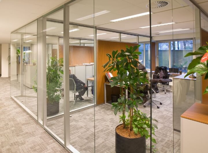 image of office with plant decoration and glass wall