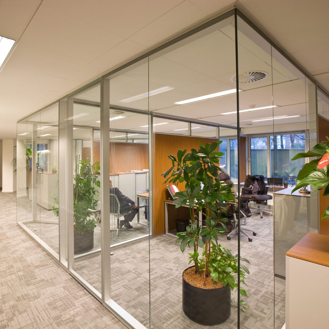 empty office with glass wall and plant decoration