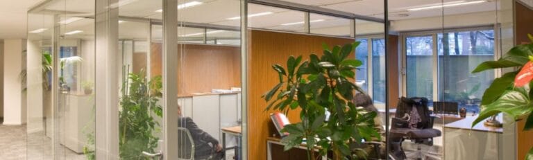 Office with plant decoration inside