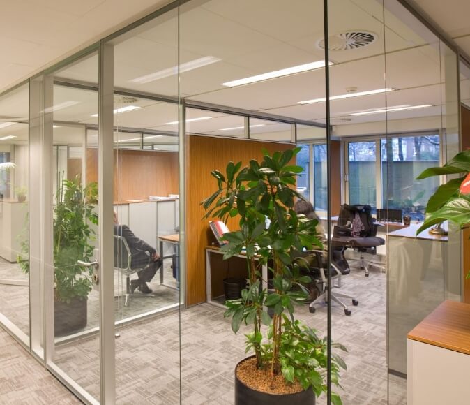 office with plant decoration and glass walls